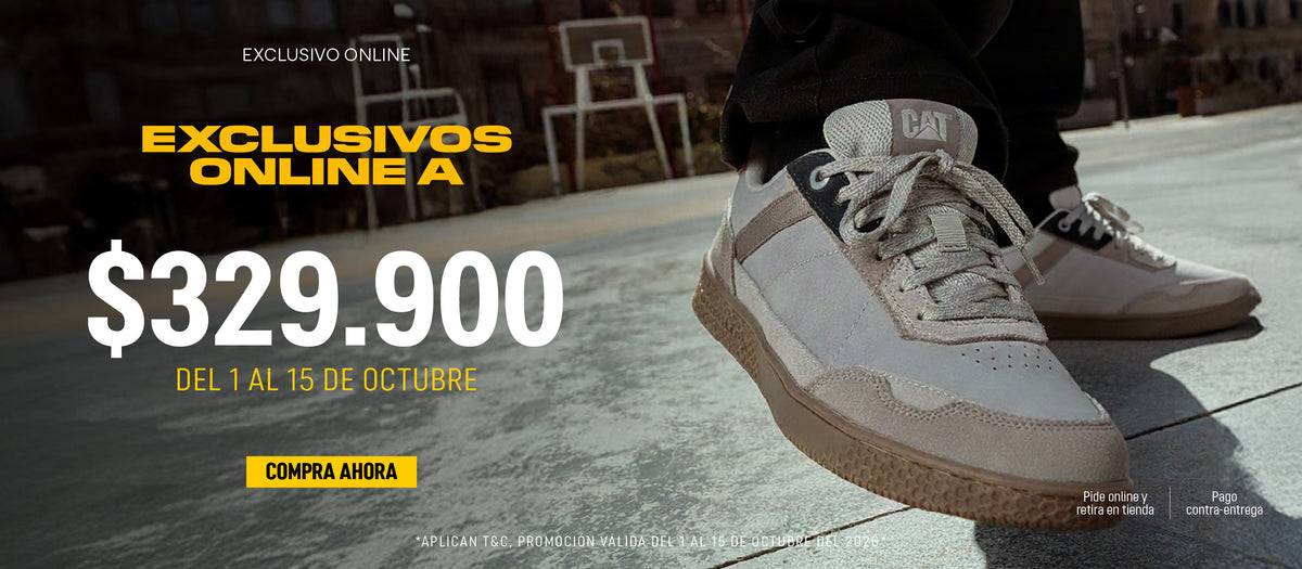 Imagen de diapositiva